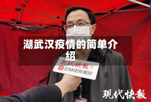 湖武汉疫情的简单介绍