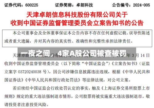 一夜之间	，4家A股公司被查被罚-第2张图片