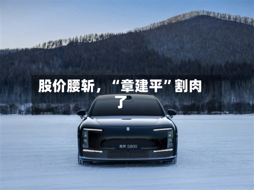 股价腰斩	，“章建平”割肉了-第2张图片