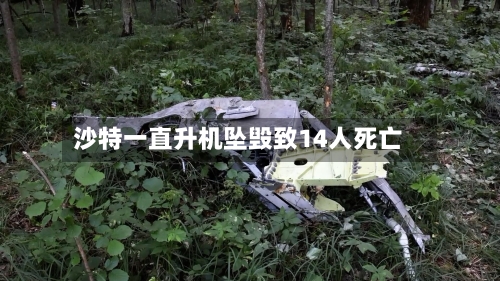 沙特一直升机坠毁致14人死亡-第2张图片