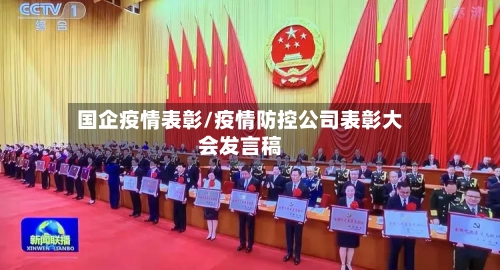 国企疫情表彰/疫情防控公司表彰大会发言稿