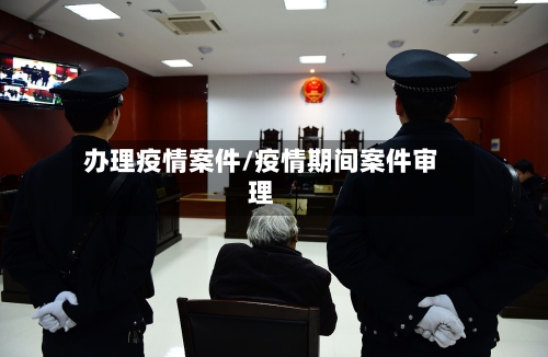办理疫情案件/疫情期间案件审理