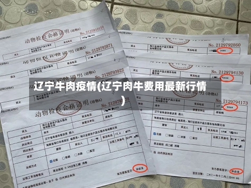 辽宁牛肉疫情(辽宁肉牛费用最新行情)