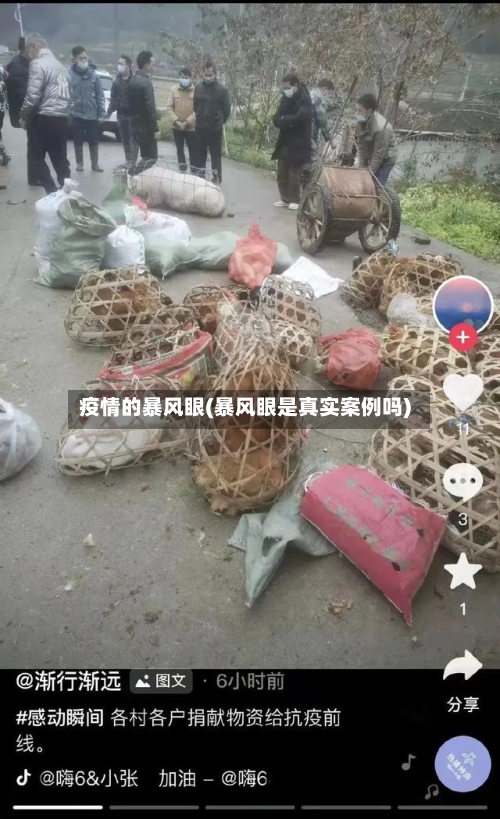 疫情的暴风眼(暴风眼是真实案例吗)-第2张图片