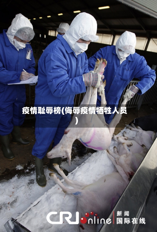 疫情耻辱榜(侮辱疫情牺牲人员)