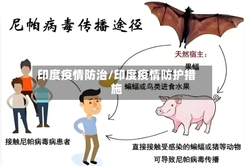 印度疫情防治/印度疫情防护措施