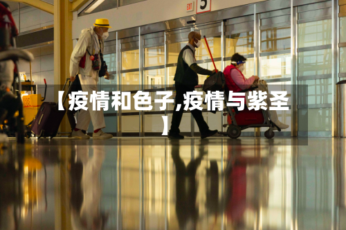 【疫情和色子,疫情与紫圣】-第2张图片
