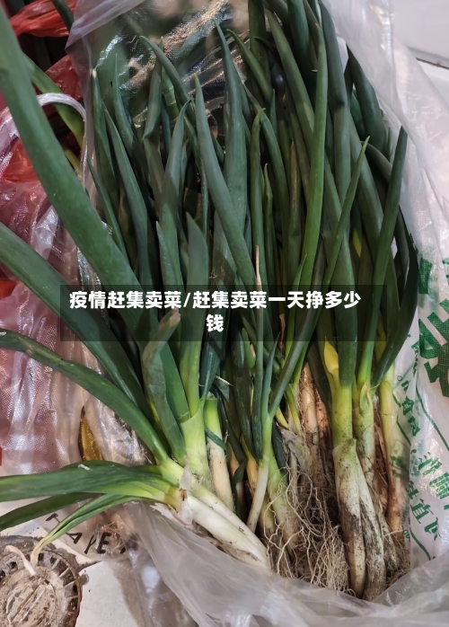 疫情赶集卖菜/赶集卖菜一天挣多少钱-第2张图片
