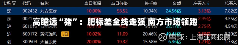 高瞻远“猪”：肥标差全线走强 南方市场领跑-第3张图片
