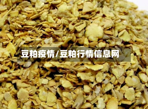 豆粕疫情/豆粕行情信息网-第2张图片
