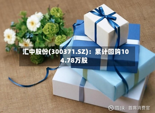 汇中股份(300371.SZ)：累计回购104.78万股
