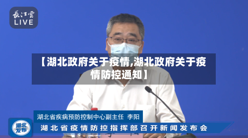 【湖北政府关于疫情,湖北政府关于疫情防控通知】-第2张图片
