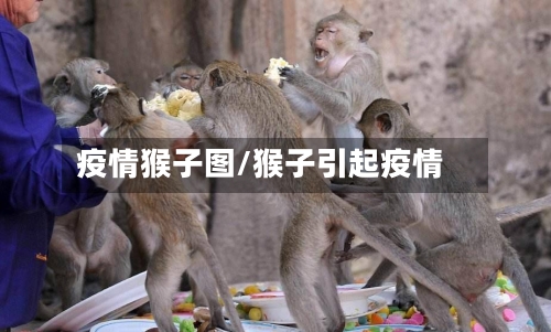 疫情猴子图/猴子引起疫情-第3张图片
