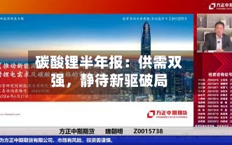 碳酸锂半年报：供需双强，静待新驱破局-第2张图片