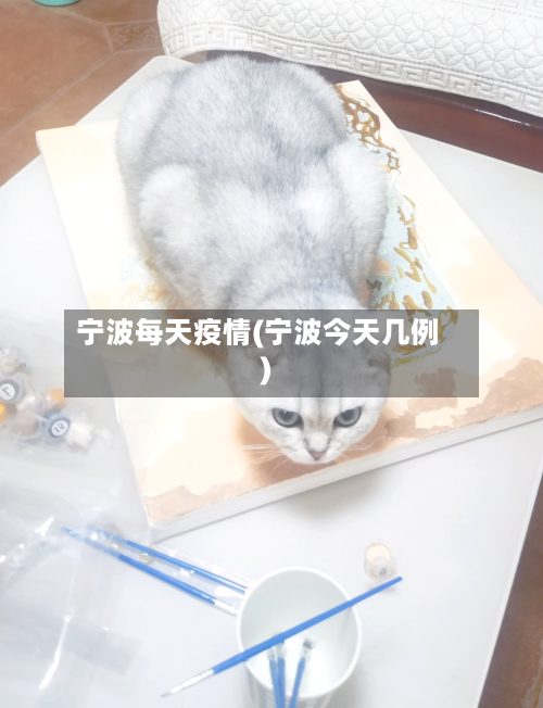 宁波每天疫情(宁波今天几例)