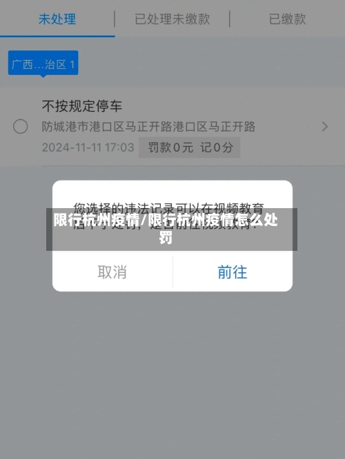 限行杭州疫情/限行杭州疫情怎么处罚-第3张图片