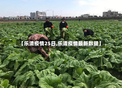 【乐清疫情25日,乐清疫情最新数据】-第3张图片