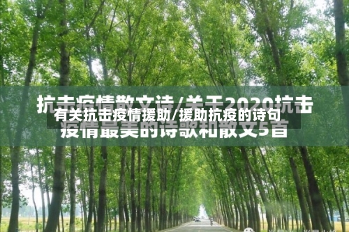 有关抗击疫情援助/援助抗疫的诗句-第3张图片