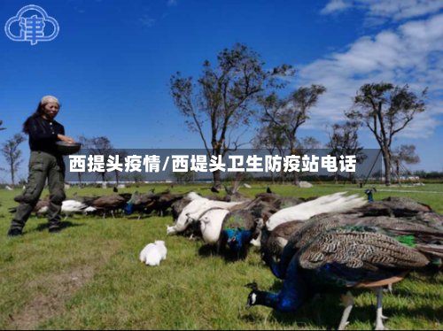西提头疫情/西堤头卫生防疫站电话