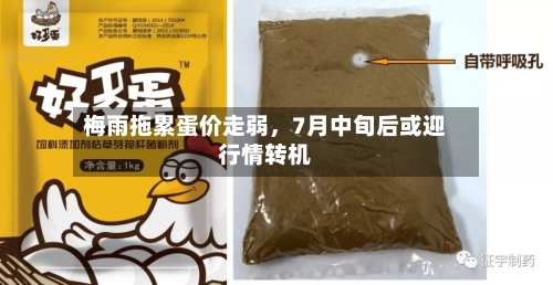 梅雨拖累蛋价走弱，7月中旬后或迎行情转机-第2张图片