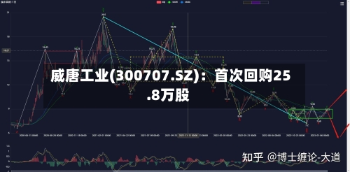 威唐工业(300707.SZ)：首次回购25.8万股