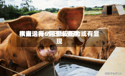 东南沿海6月玉米费用
横盘运行 7月供应压力或有显现-第2张图片