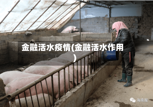金融活水疫情(金融活水作用)
