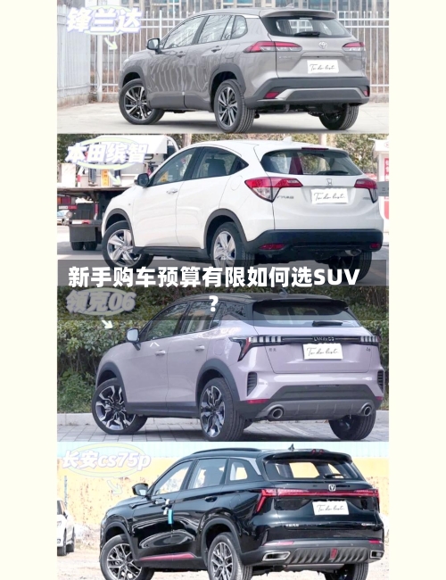 新手购车预算有限如何选SUV？-第3张图片