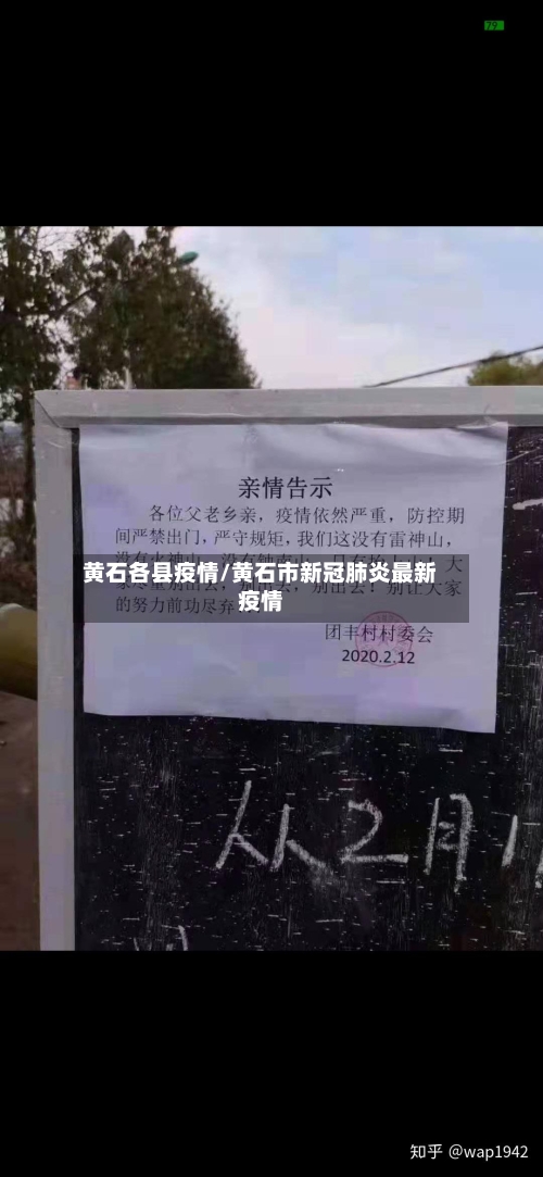 黄石各县疫情/黄石市新冠肺炎最新疫情