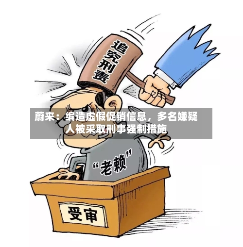 蔚来：编造虚假促销信息	，多名嫌疑人被采取刑事强制措施-第2张图片