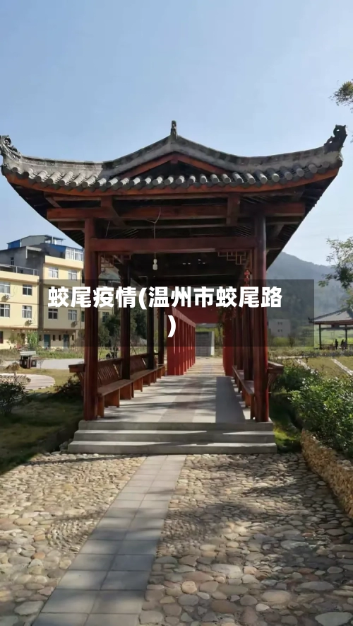 蛟尾疫情(温州市蛟尾路)