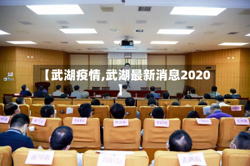 【武湖疫情,武湖最新消息2020】-第3张图片