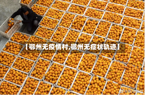 【鄂州无疫情村,鄂州无症状轨迹】-第3张图片