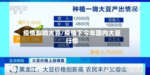 疫情影响大豆/疫情下今年国内大豆行情-第3张图片