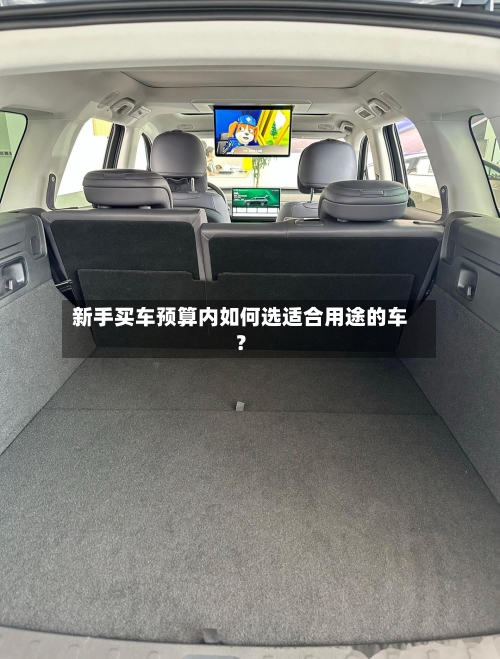 新手买车预算内如何选适合用途的车?-第2张图片