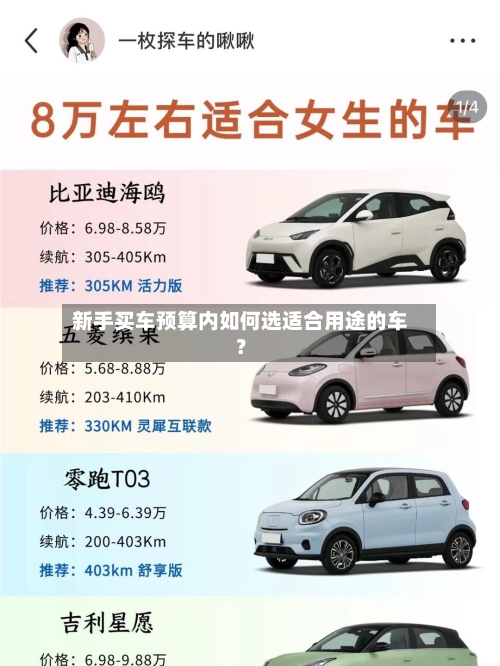 新手买车预算内如何选适合用途的车?-第3张图片