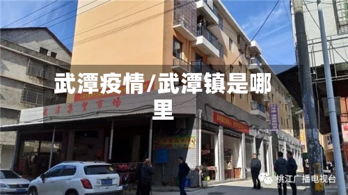 武潭疫情/武潭镇是哪里-第2张图片
