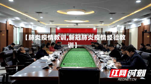 【肺炎疫情教训,新冠肺炎疫情经验教训】