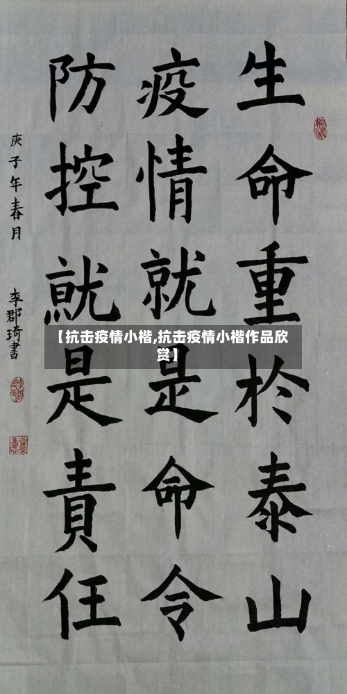 【抗击疫情小楷,抗击疫情小楷作品欣赏】