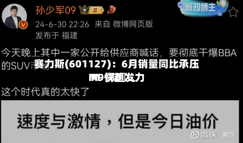 赛力斯(601127)：6月销量同比承压 M〖陆〗、M9快速发力-第2张图片