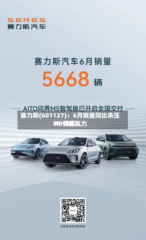赛力斯(601127)：6月销量同比承压 M〖陆〗、M9快速发力-第3张图片