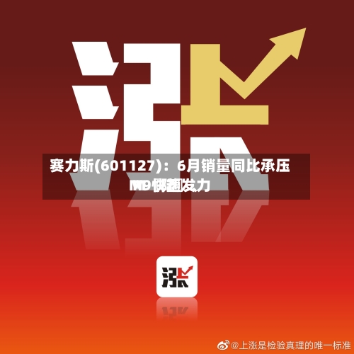 赛力斯(601127)：6月销量同比承压 M〖陆〗、M9快速发力-第2张图片