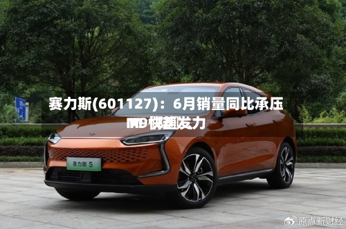 赛力斯(601127)：6月销量同比承压 M〖陆〗、M9快速发力-第3张图片