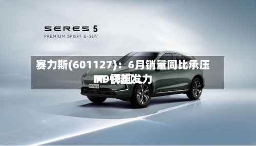 赛力斯(601127)：6月销量同比承压 M〖陆〗、M9快速发力-第3张图片