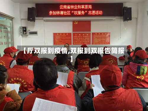 【厅双报到疫情,双报到双报告简报】-第2张图片