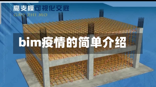 bim疫情的简单介绍