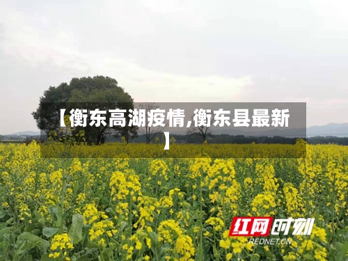 【衡东高湖疫情,衡东县最新】