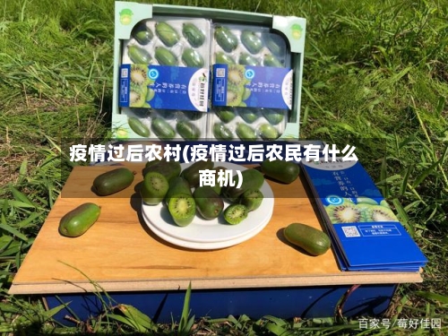 疫情过后农村(疫情过后农民有什么商机)
