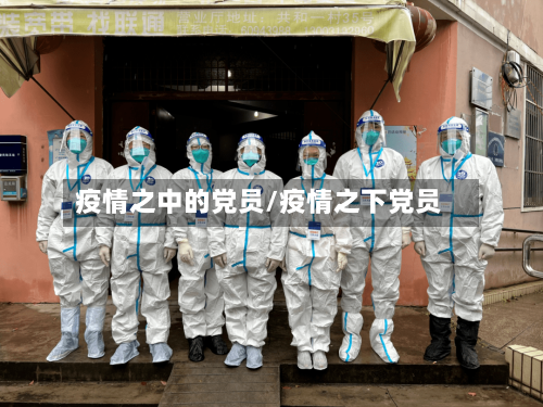 疫情之中的党员/疫情之下党员
