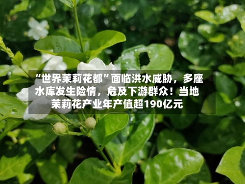 “世界茉莉花都	”面临洪水威胁，多座水库发生险情，危及下游群众！当地茉莉花产业年产值超190亿元-第2张图片